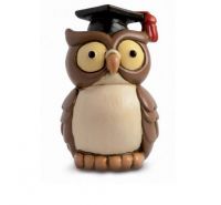 Egan Degree: owl with graduation hat 