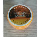 Kringle Amber Scented Candle