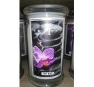 Kringle Spa Day scented candle