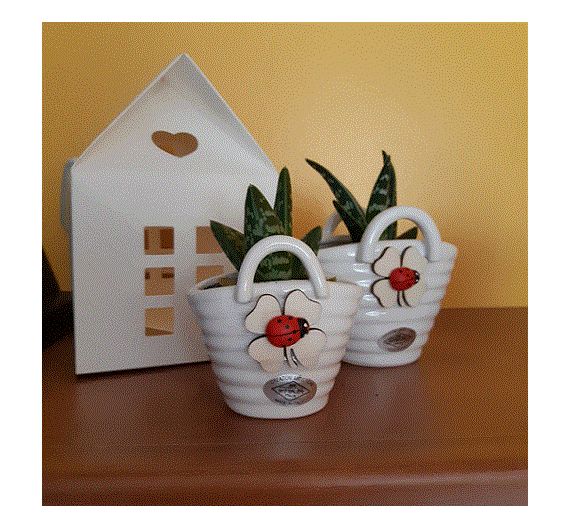 Ceramic basket with succulent plant
