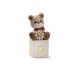 Egan figurine Oliver led cube with daisy