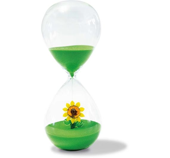Wd Monterey hourglass with sunflower