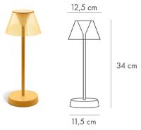 Wd lifestyle wireless table lamp