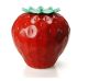 Qualy Strawberry Container